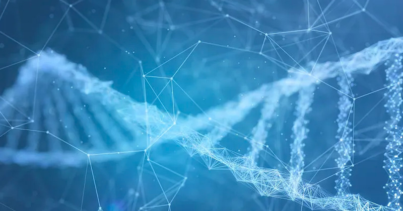 【药科大学】 创新生物药物研发